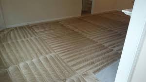 d m carpet cleaning loganville ga