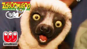 Zoboomafoo | Full Episode: PlayTime | Animals For Kids - YouTube