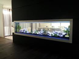 Fish Tank Wall Aquarium Design