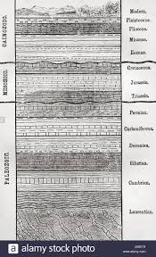 A Chart Of Strata Layers Of Sedimentary Rock Or Soil From
