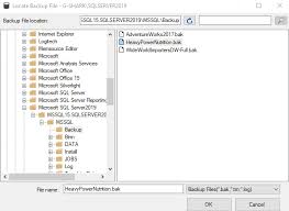 sql server database backup file