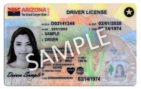 driver license information department
