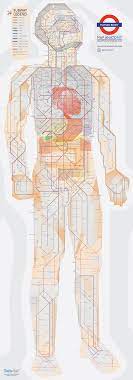 From a broader design perspective, this anatomical subway map draws inspiration from the famous london underground design. A Subway Map Of Human Anatomy All The Systems Of Our Body Visualized In The Style Of The London Underground Open Culture