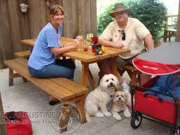 pet friendly places in st augustine