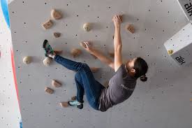 Custom Indoor Climbing Wall Solutions