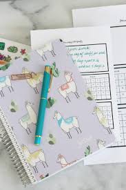 January 2018 Goal Tracker Printable For Planners Sparkle