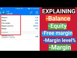 explaining balance equity margin free