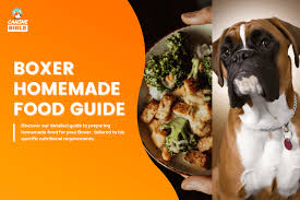 boxer dog homemade food guide recipes