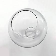 1 65 Inch Fitter Clear Glass Globe Lamp