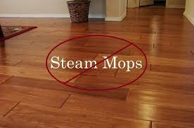 steam mop for vinyl floors flash s