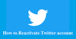Twitter is often described as the sms of the internet. it allows people, companies, and businesses to keep their followers and prospective customers in case you unknowingly or deliberately delete your twitter account, don't worry; How To Recover Deleted Twitter Account Step By Step