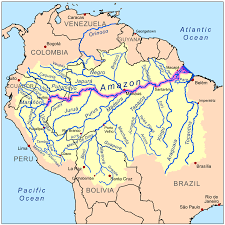 Image result for amazon river