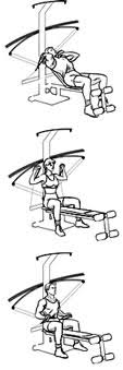 Crossbow Exercises By Weight Training Exercises Com
