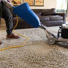 be green carpet cleaning seattle