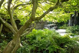 Inspiring Ideas For Woodland Gardens