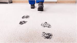 how to disinfect carpet in your