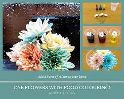 How To Dye Flowers With Food Colouring