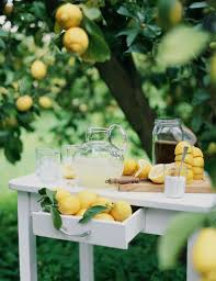 comment faire une citronnade maison