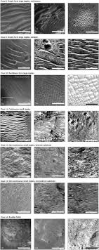 terrain classification system for mars