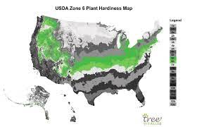 usda zone 6 where is it what to plant
