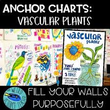 Science Scaffolded Notes Anchor Chart Vascular Plants Tpt