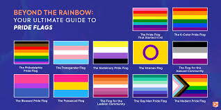 I understand the rainbow, and think the trans flag is. Beyond The Rainbow Your Complete Guide To Pride Flags