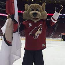 The team uniform comprises of a brick red, black, and desert sand theme. Howler The Coyote Arizona Coyotes Sportsmascots Wikia Fandom