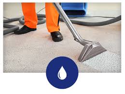 best carpet cleaning carpet cleaning