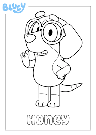 Free printable coloring pages and connect the dot pages for kids. Print Your Own Colouring Sheet Of Bluey S Friend Honey