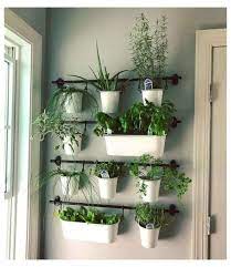 Home Decor Hanging Plants Ideas