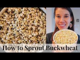 how to sprout buckwheat simple easy