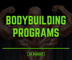 150 bodybuilding programs