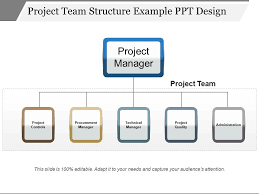 Project Team Structure Example Ppt Design Powerpoint