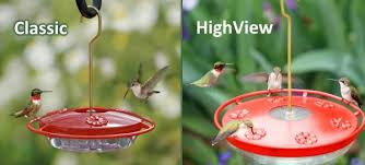 Best Hummingbird Feeders Review 2022