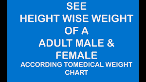 Height Wise Weight Of A Adult Male And Female Youtube