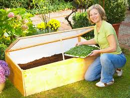 How To Build Your Own Cold Frame