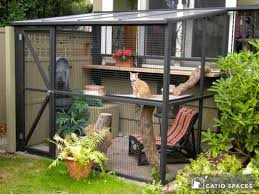 However, with our wide selection of cat cages. All About Catios Cat Enclosures Catio Spaces