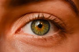 pseudomonas aeruginosa eye infections