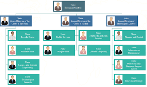 Examples Of Company Organizational Chart Www