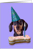 Choose from hundreds of templates, add photos and your own message. Dog Birthday Cards With Dachshund From Greeting Card Universe