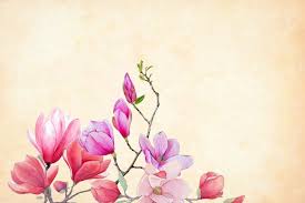flowers over cream colored background
