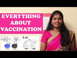 Baby Vaccination Tamil Youtube