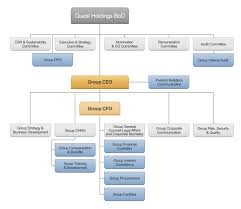 Organizational Chart Quest Holdings