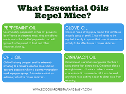 natural mouse repellents that mice