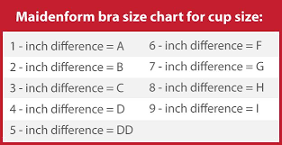 Maidenform Bra Size Chart For Cup Size Bra Size Charts