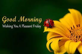 Maybe you would like to learn more about one of these? Wishing You A Pleasant Friday Good Morning With Yellow Flowers Good Morning Images Quotes Wishes Messages Greetings Ecards