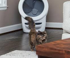 tips to acclimate your cat to litter robot