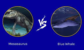 mosasaurus vs blue whale who would win