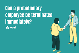 probationary rules in the philippines