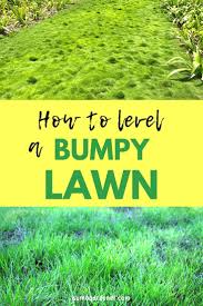 There are easy ways to. Pin By Stas On Backyard Lawn Repair Diy Lawn Lawn